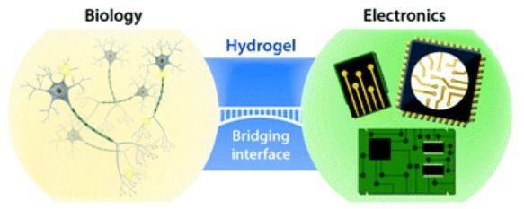 Science Advances (IF 11.51): 新任华人副主编 MIT 赵选贺教授