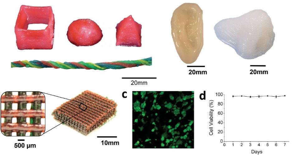 Science Advances (IF 11.51): 新任华人副主编 MIT 赵选贺教授