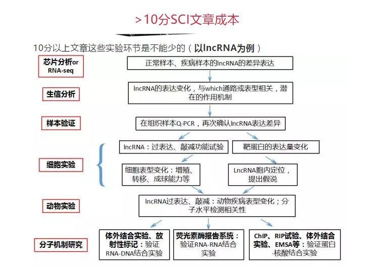 发一篇 10 分的 SCI 需要花费多少科研经费？