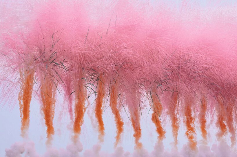 蔡国强和圣洛朗在日本首次举办的日间烟花在天空中投射出大胆的色彩