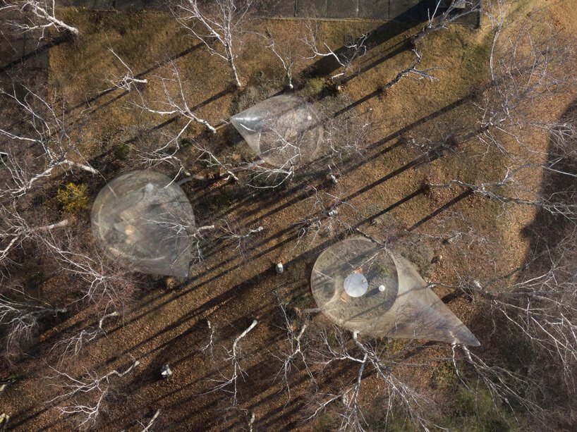 永山裕子的透明泪滴形帐篷点缀在日本宁静的森林中 永山裕子的透明泪滴形帐篷点缀在日本宁静的森林中