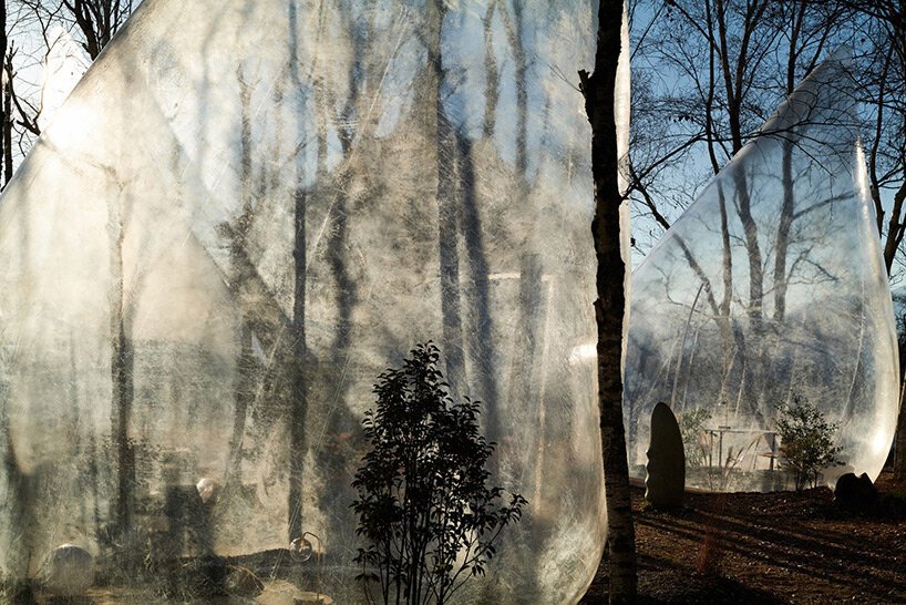 永山裕子的透明泪滴形帐篷点缀在日本宁静的森林中 永山裕子的透明泪滴形帐篷点缀在日本宁静的森林中