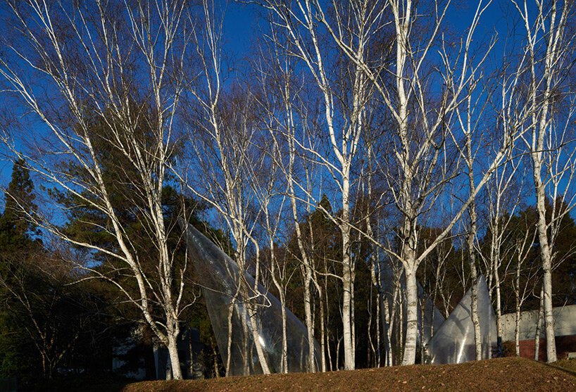永山裕子的透明泪滴形帐篷点缀在日本宁静的森林中 永山裕子的透明泪滴形帐篷点缀在日本宁静的森林中