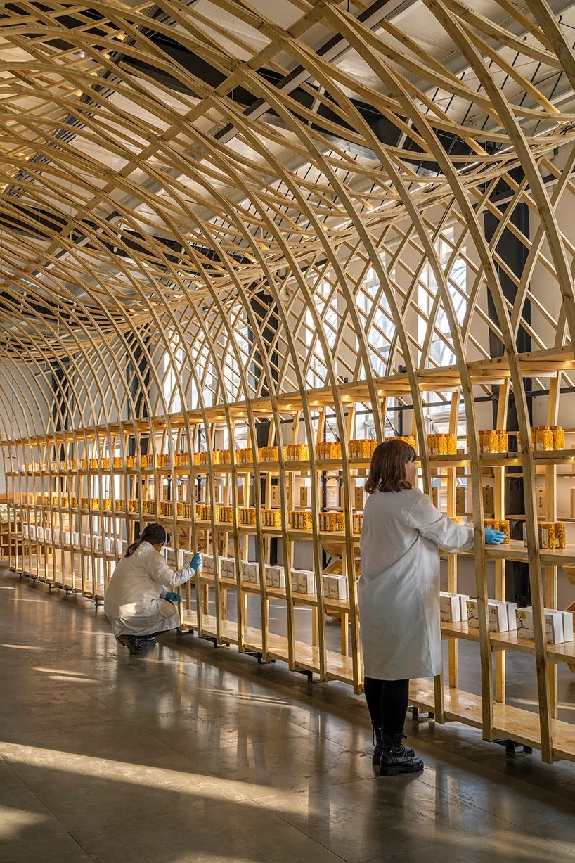 罗工作室将木板弯曲成引人入胜的展览展示 罗工作室将木板弯曲成引人入胜的展览展示