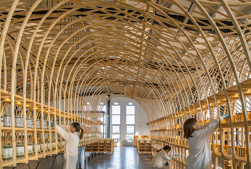 罗工作室将木板弯曲成引人入胜的展览展示 罗工作室将木板弯曲成引人入胜的展览展示