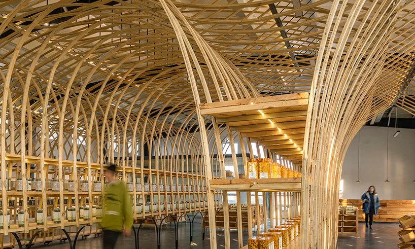 罗工作室将木板弯曲成引人入胜的展览展示 罗工作室将木板弯曲成引人入胜的展览展示