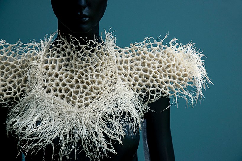 Zena Holloway 推出了一系列完全源自草根的生物设计 Zena Holloway 推出了一系列完全源自草根的生物设计