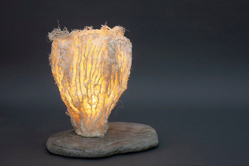 Zena Holloway 推出了一系列完全源自草根的生物设计 Zena Holloway 推出了一系列完全源自草根的生物设计