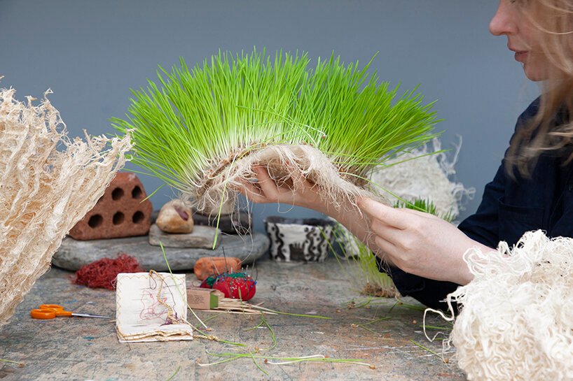 Zena Holloway 推出了一系列完全源自草根的生物设计 Zena Holloway 推出了一系列完全源自草根的生物设计