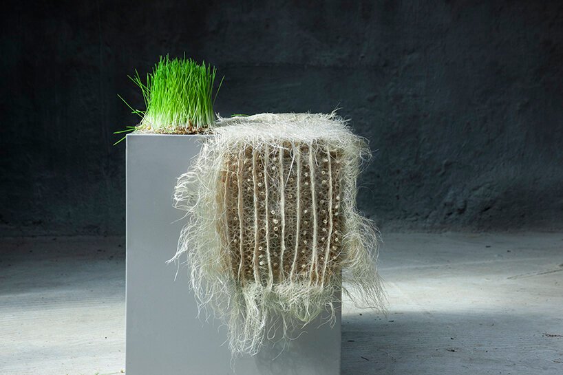 Zena Holloway 推出了一系列完全源自草根的生物设计 Zena Holloway 推出了一系列完全源自草根的生物设计