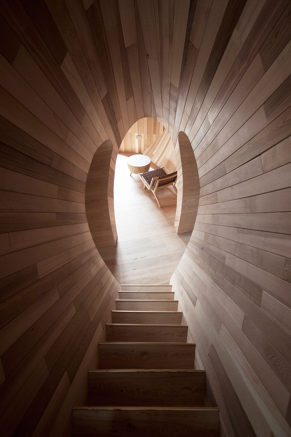 ZJJZ 在中国农村用镜面铝 + 松木瓦覆盖椭圆形宾馆