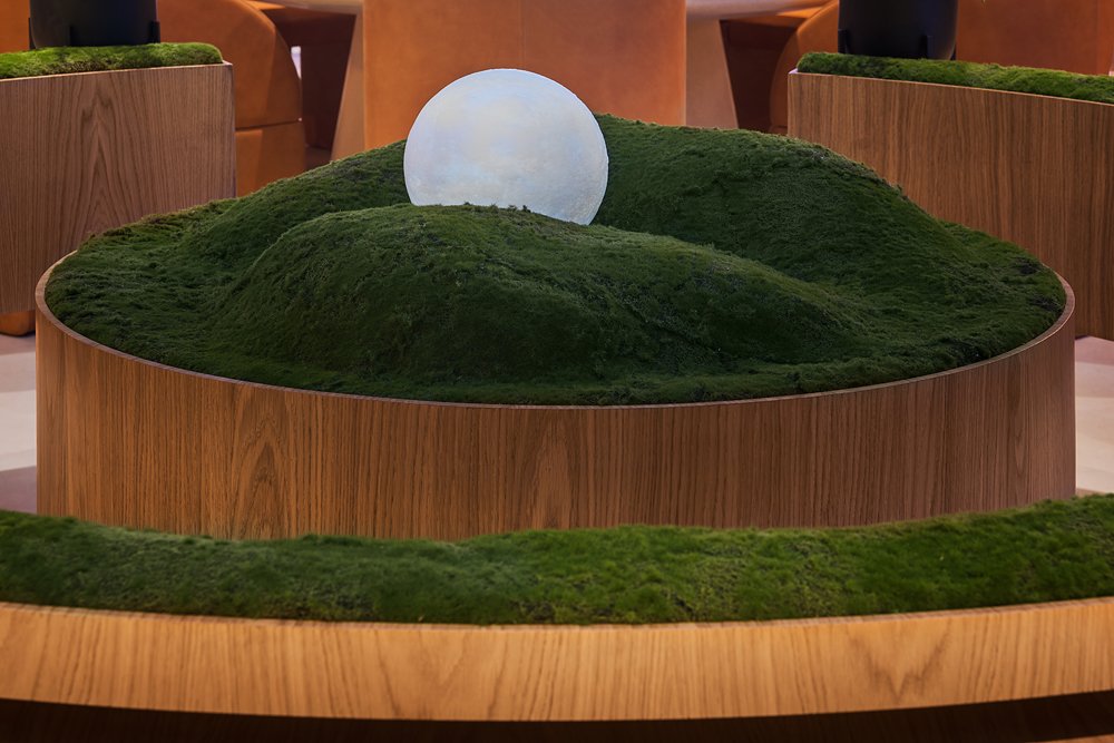 泽姆利亚 莫斯科