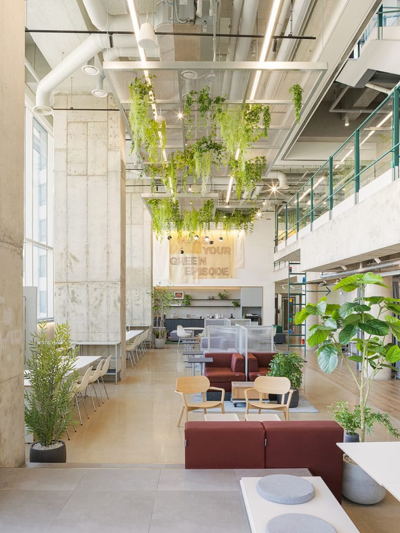 Episode Suyu 838 Episode Suyu 838