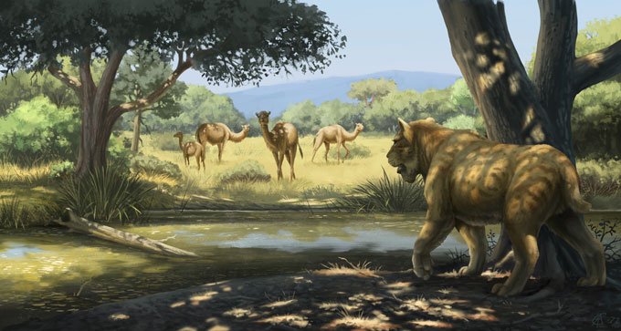 大约 13,000 年前,人类和火灾永远改变了洛杉矶的生态系统 大约 13,000 年前,人类和火灾永远改变了洛杉矶的生态系统