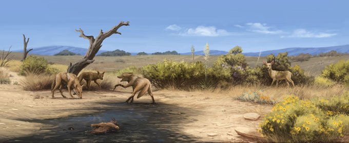 大约 13,000 年前,人类和火灾永远改变了洛杉矶的生态系统 大约 13,000 年前,人类和火灾永远改变了洛杉矶的生态系统