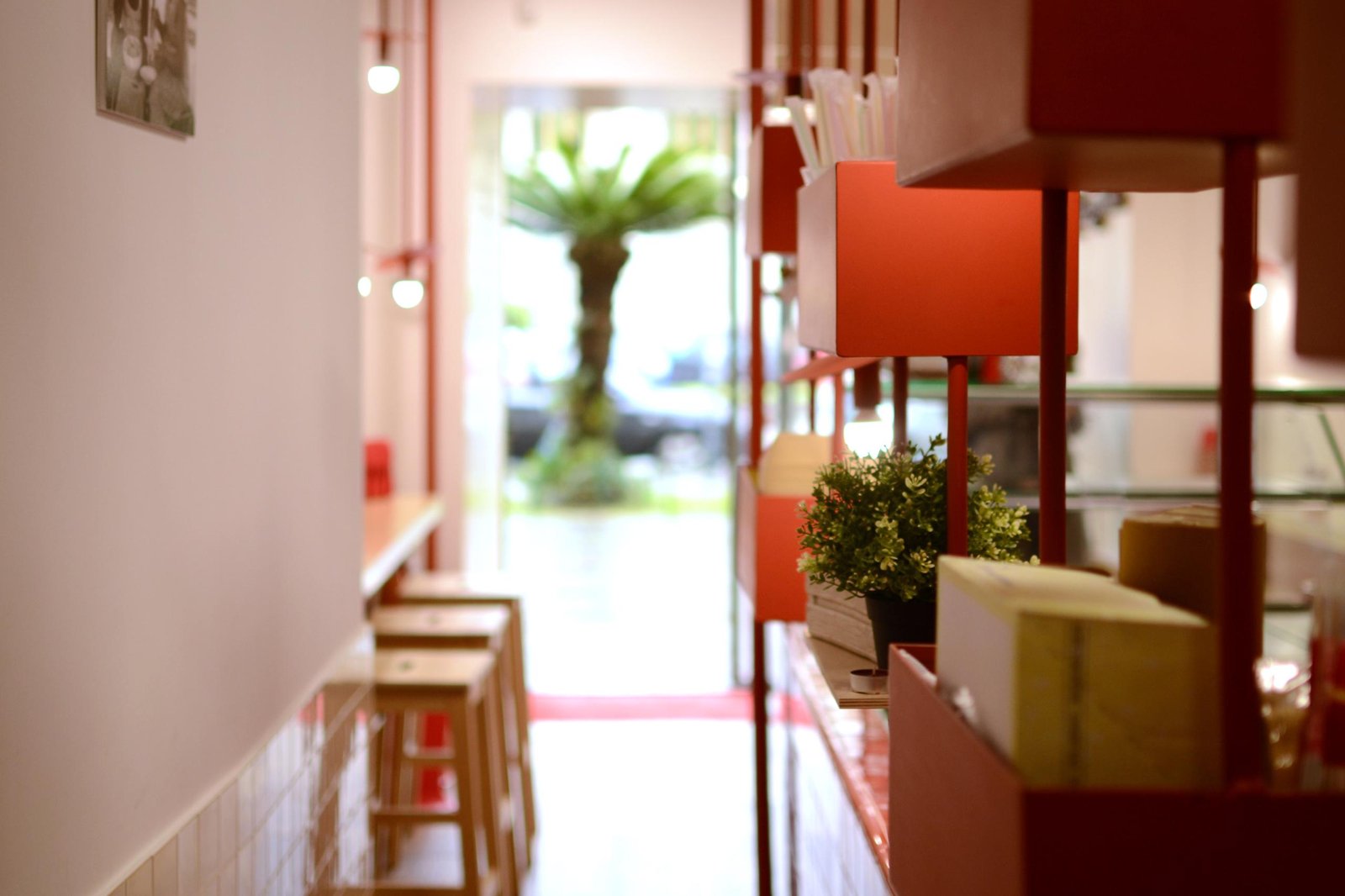 奥库泽蒂洛快餐