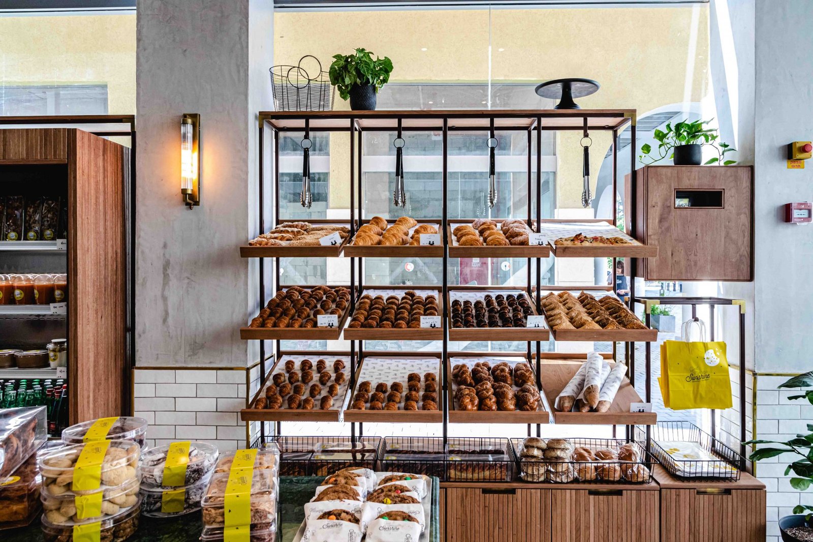 SAY 工作室的《早上好阳光》 SAY 工作室的《早上好阳光》