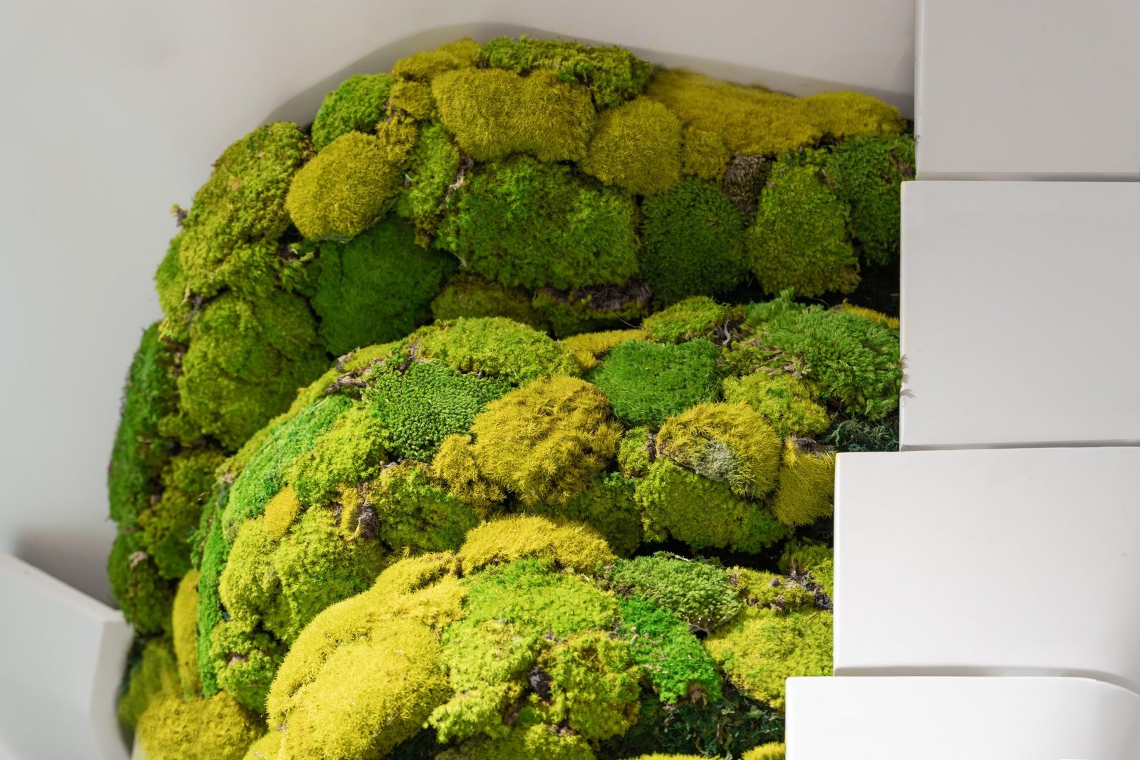 TFD 中国深圳旗舰店 by PMT Partners