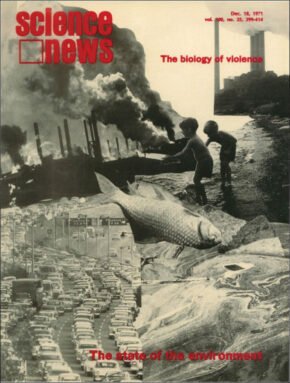 50 年前,科学家们对蚊子进行了基因改造 50 年前,科学家们对蚊子进行了基因改造
