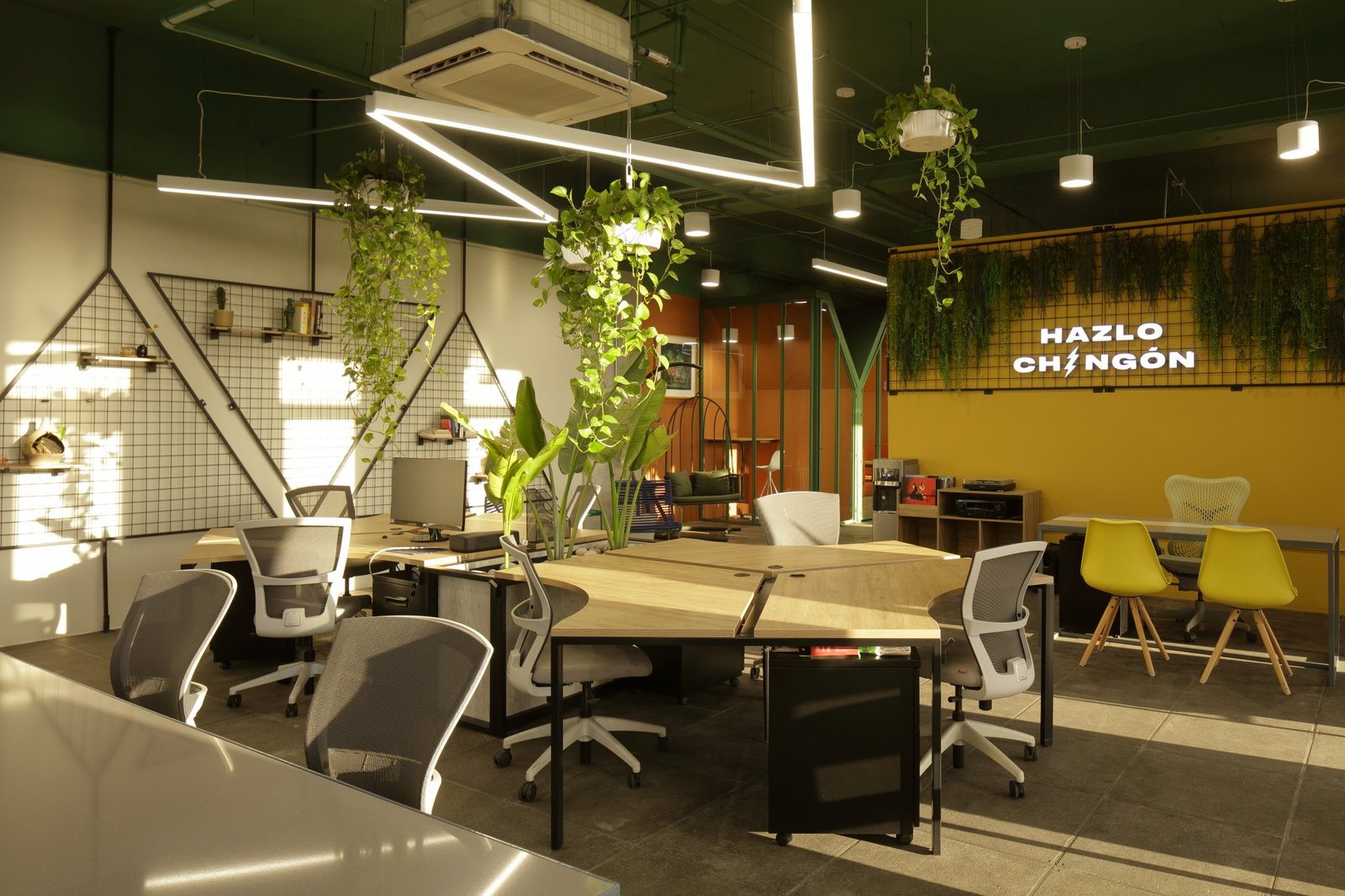 芒果电影办公室