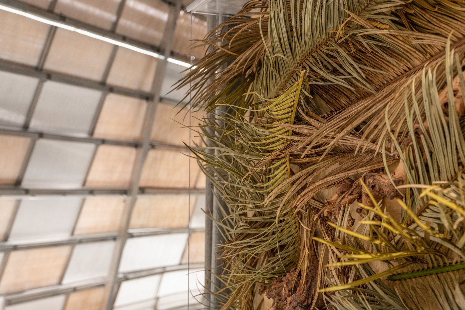 TFD 中国深圳旗舰店 by PMT Partners