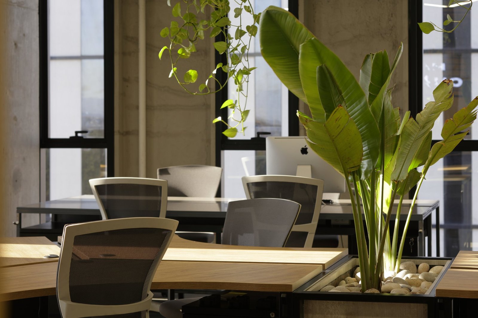 芒果电影办公室