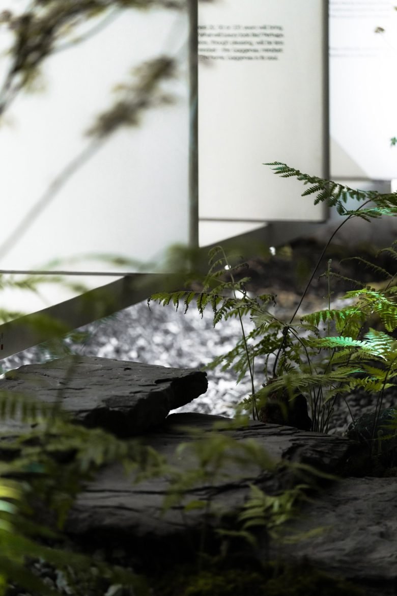 HDC 设计|嘉格纳 & 成都 NEXT125 体验店