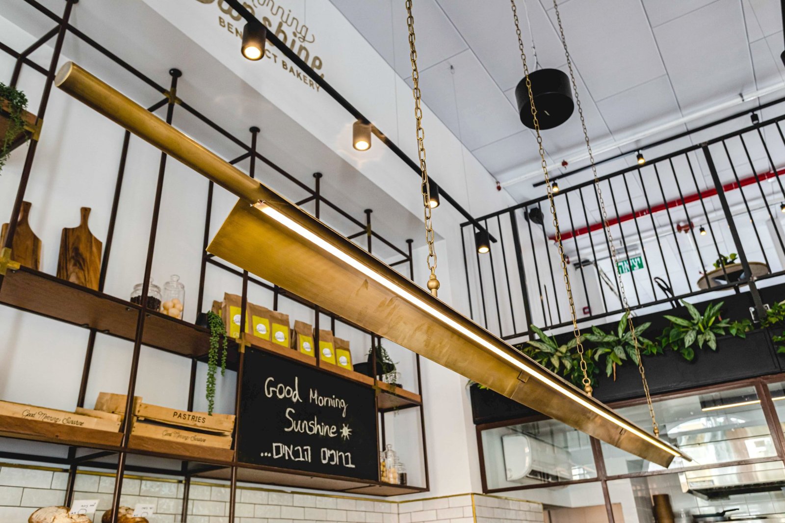 SAY 工作室的《早上好阳光》 SAY 工作室的《早上好阳光》