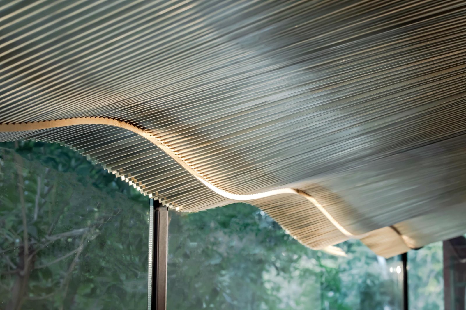 在海浪下起舞 — AFRiCONIC Boutique Bistro of Red Wine, Atelier Tree