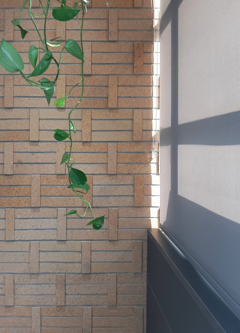 社交网络办公室