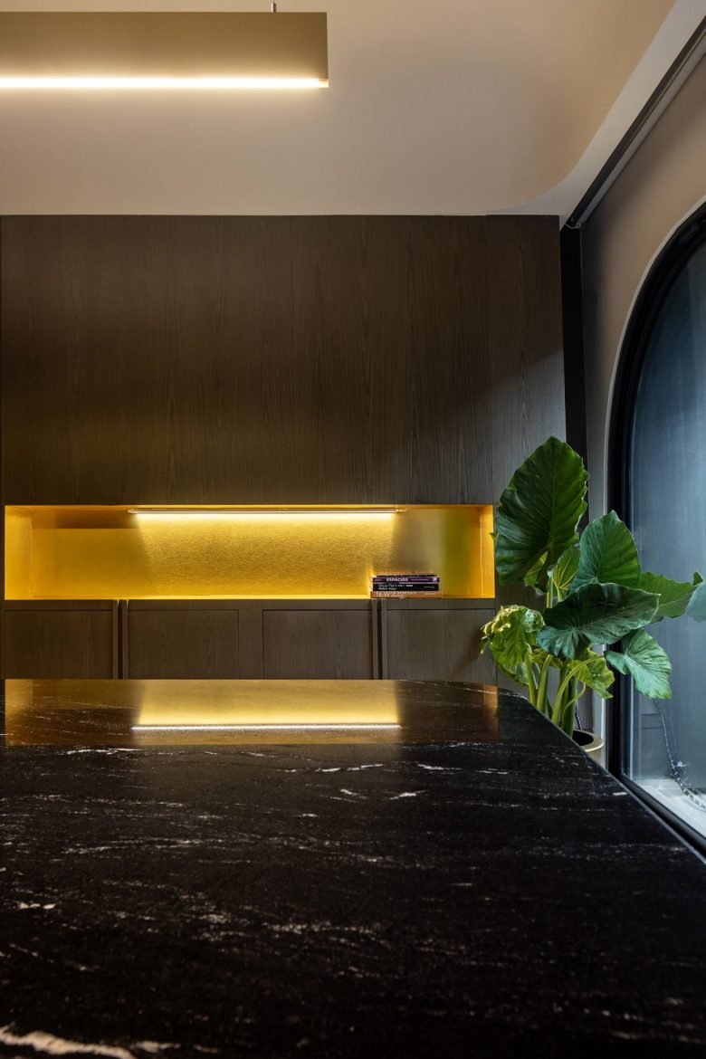 203 Masaryk PH 办公室 / Álvaro Hernández Félix Studio 203 Masaryk PH 办公室 / Álvaro Hernández Félix Studio