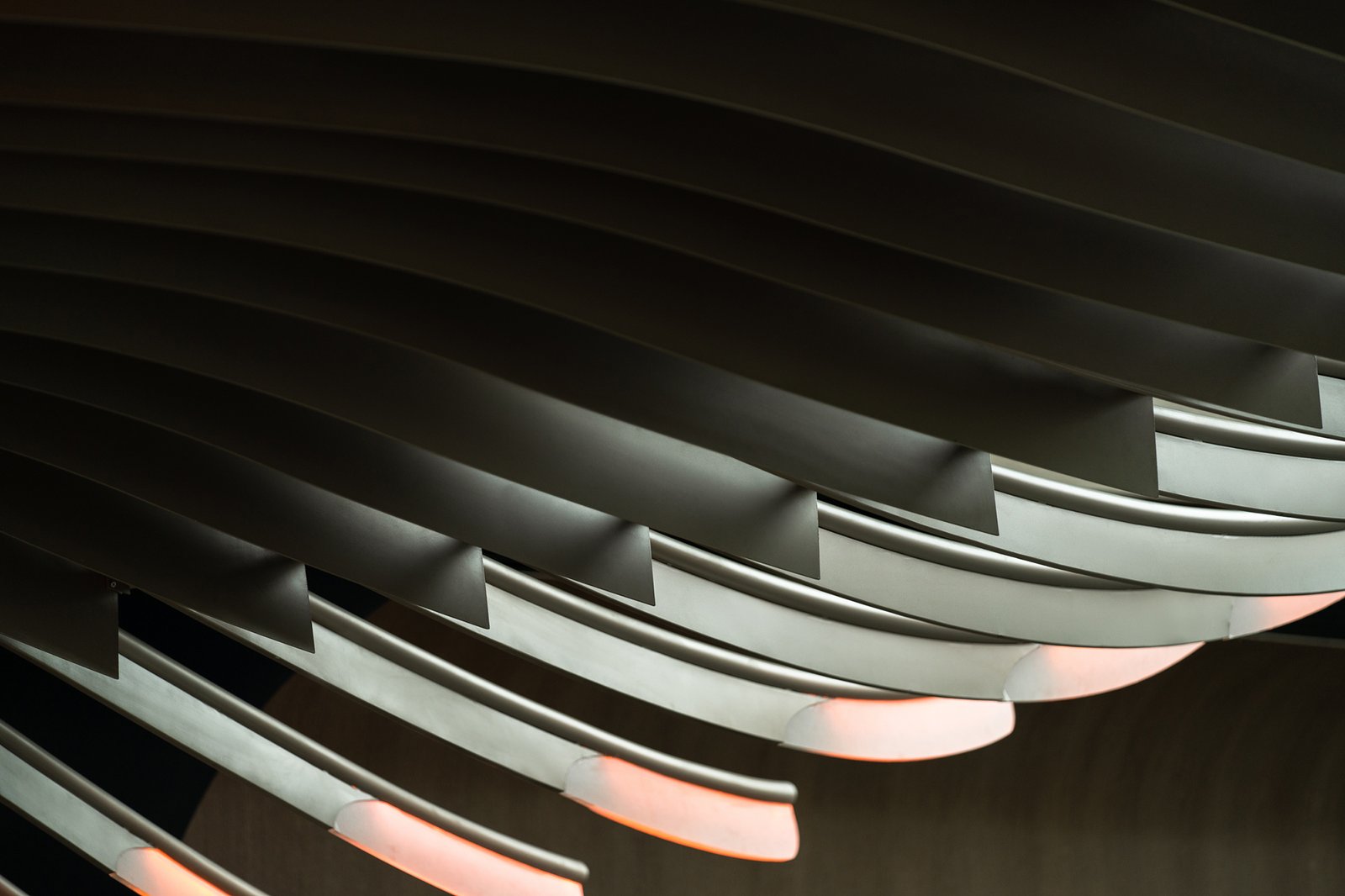 HDC Design 的 MINISTRY OF CRAB