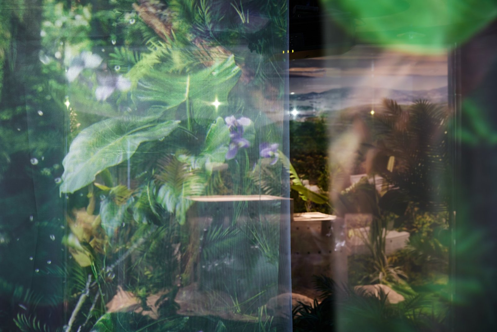 跃创意|小仙墩鲜炖燕窝 - 北京旗舰店