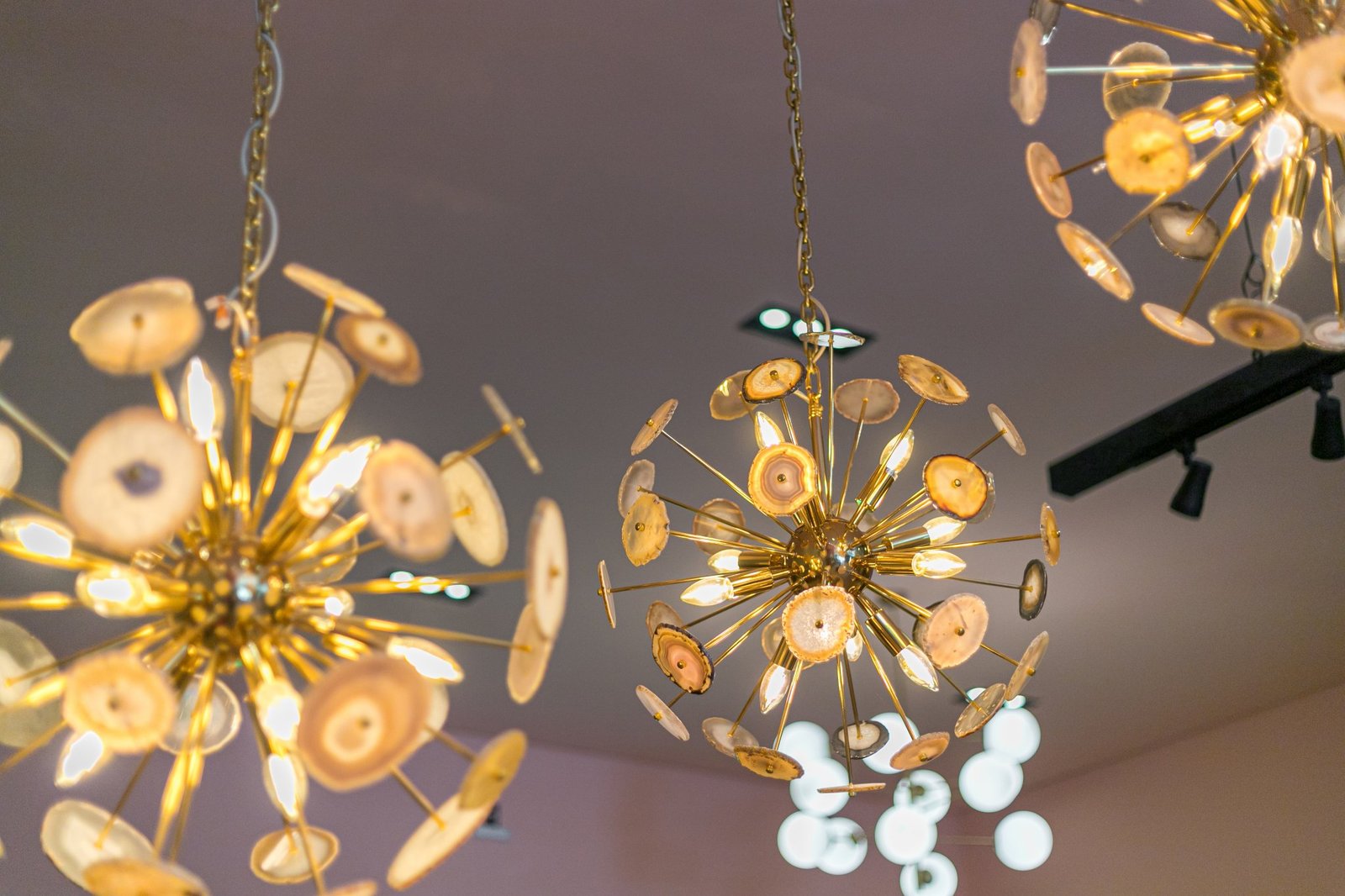 伊莎贝尔·卡萨 & 沃斯