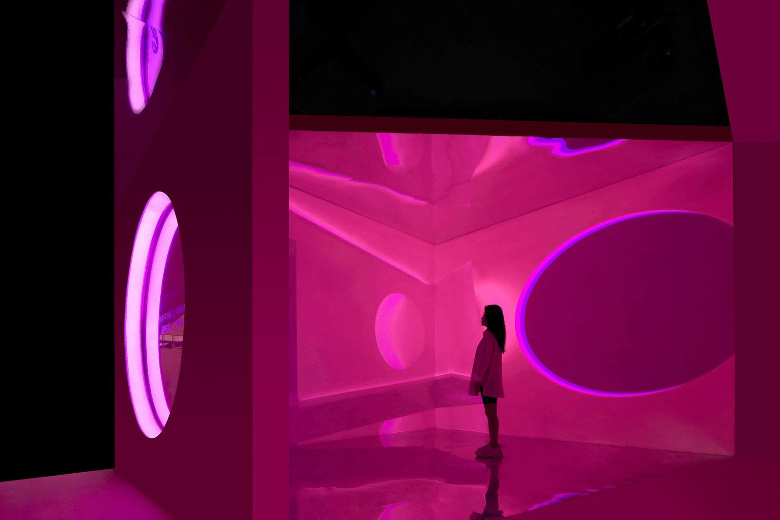 梦境 2023 x 毗婆舍那