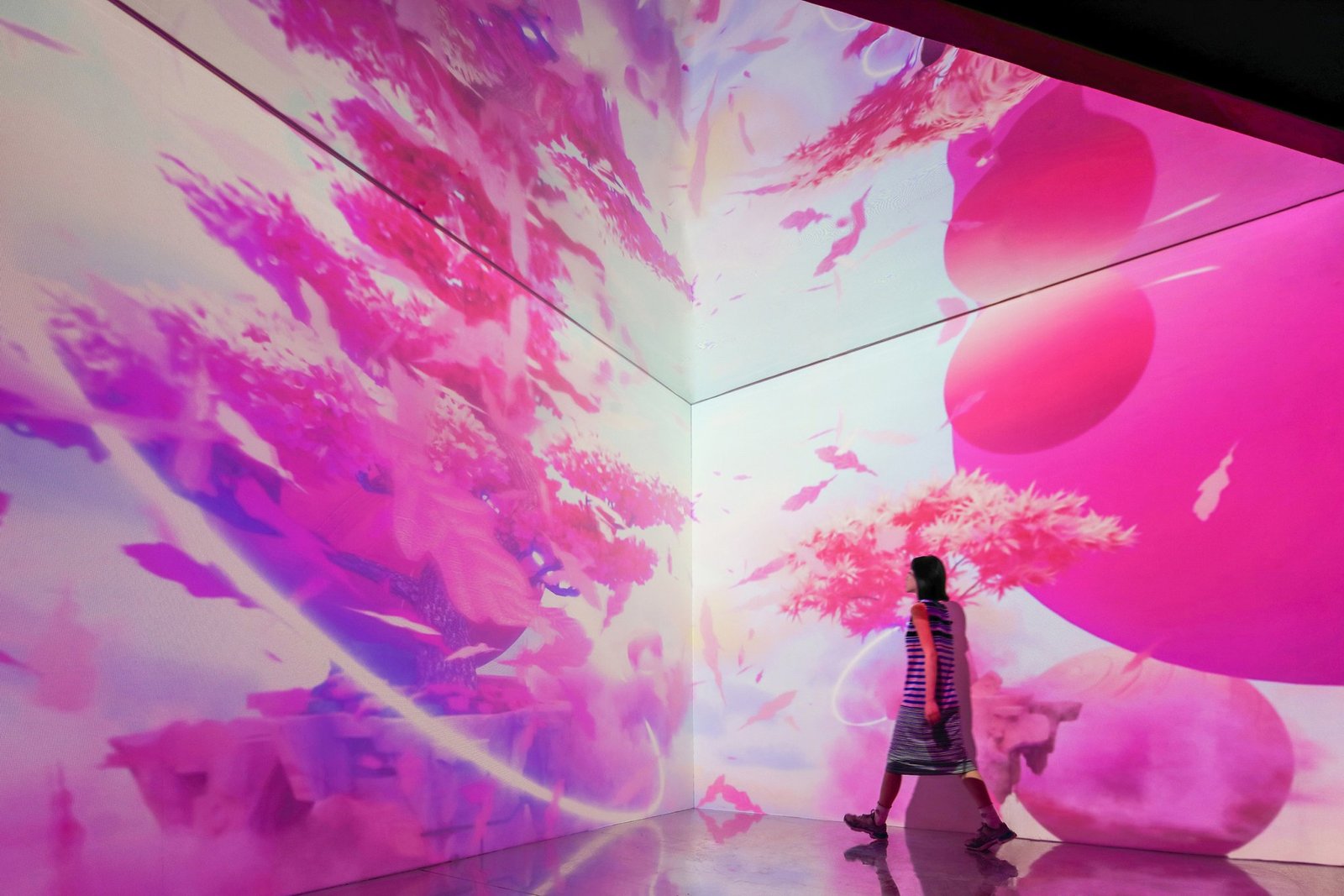 梦境 2023 x 毗婆舍那