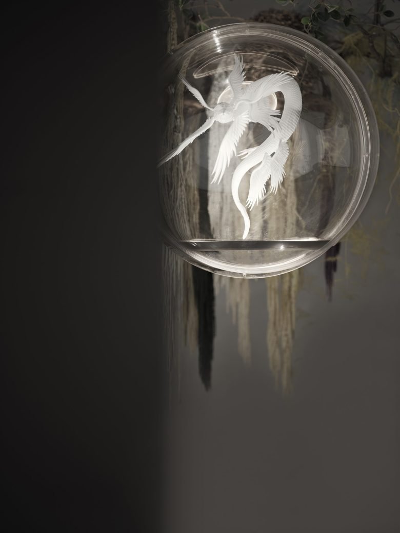 村熊猫娜娜 | 厦门 TALES GALLERY 密室逃脱游戏公司