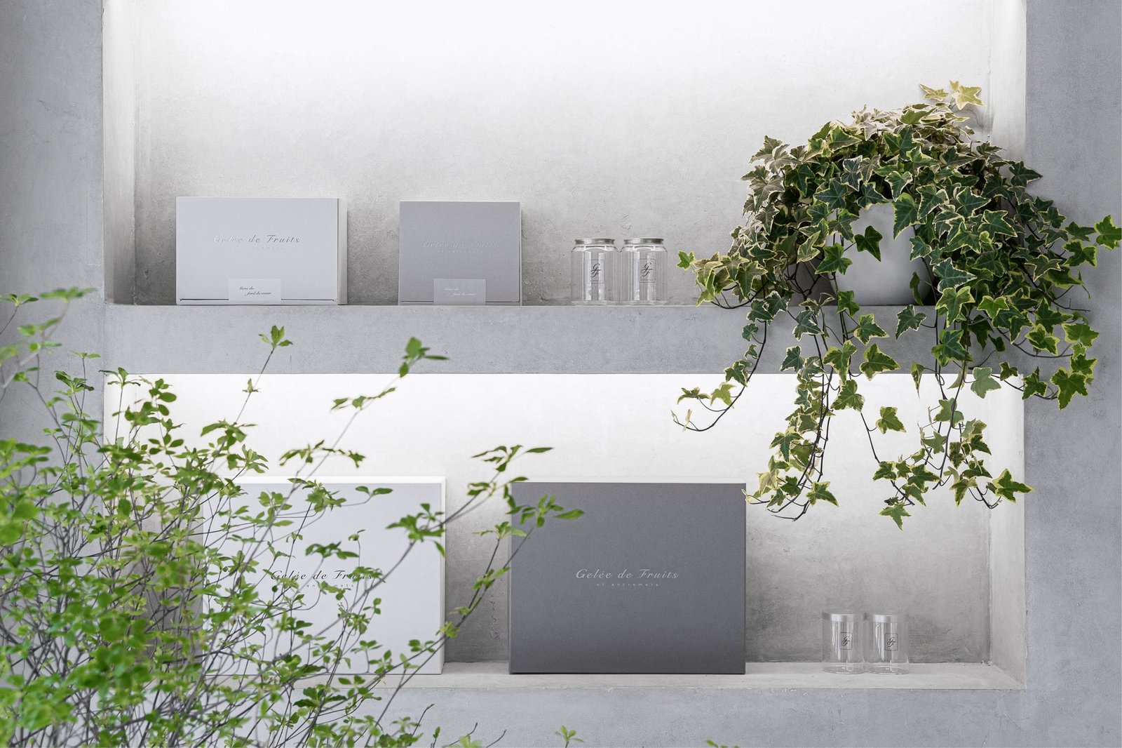 PHENOMENA 的水果凝胶