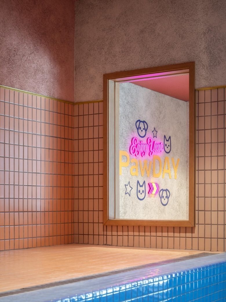 Paw Day 是您心爱的毛茸茸朋友的一站式商店