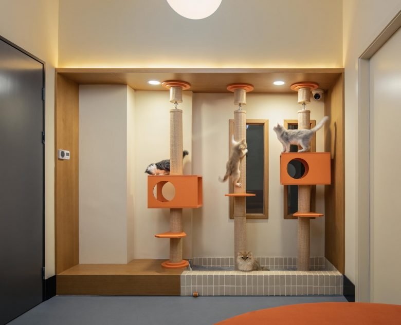 Paw Day 是您心爱的毛茸茸朋友的一站式商店