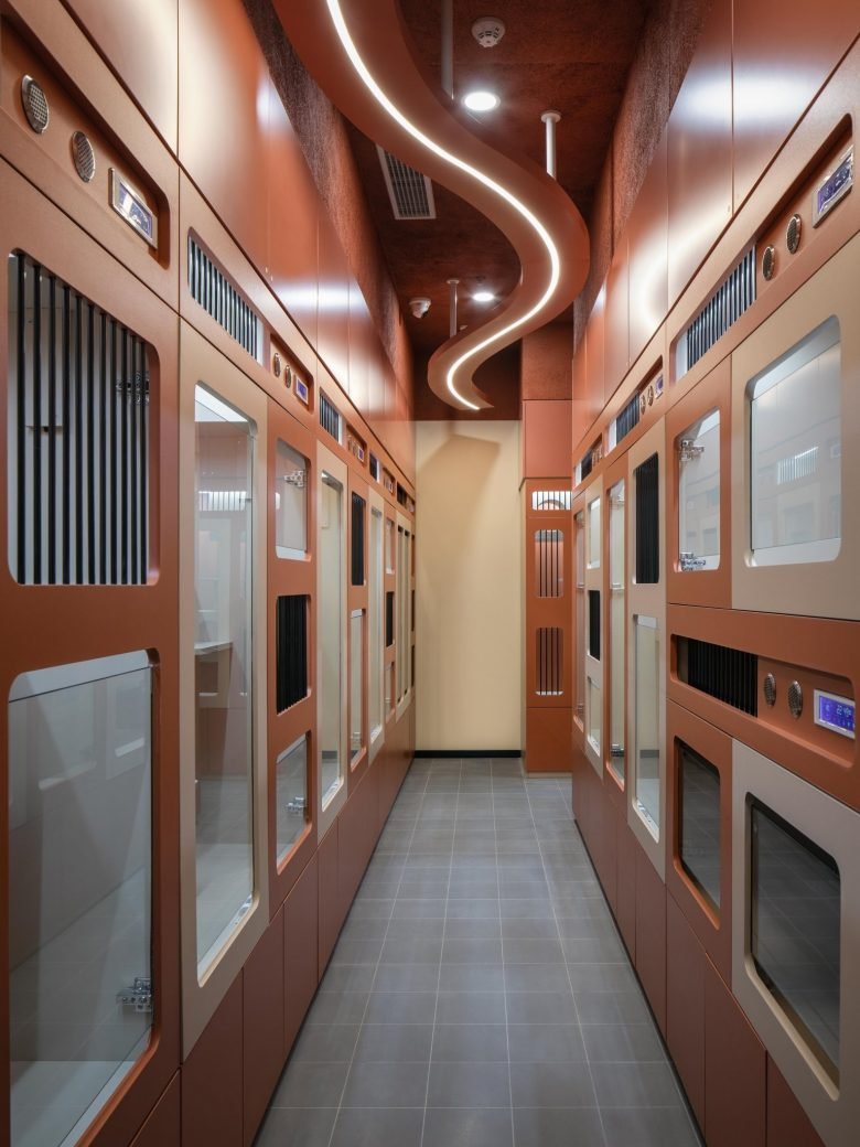 Paw Day 是您心爱的毛茸茸朋友的一站式商店