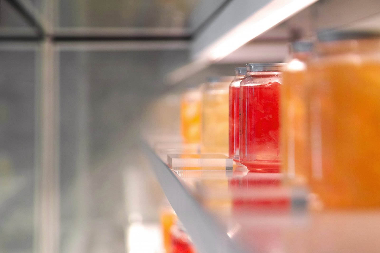 PHENOMENA 的水果凝胶