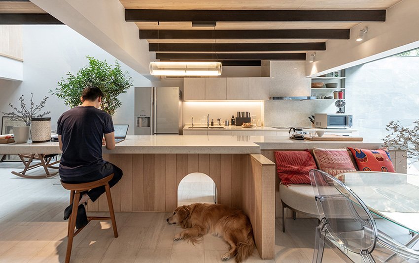 anonym studio 结合了线性和弯曲的几何形状，在曼谷创造了宁静的住宅