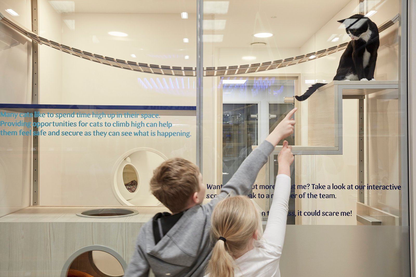 彻底改变宠物护理体验