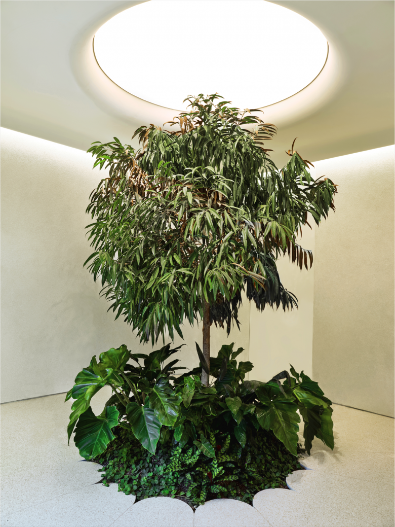 Studio Paolo Ferrari 设计的 Alchemy Canna Co. 旗舰店