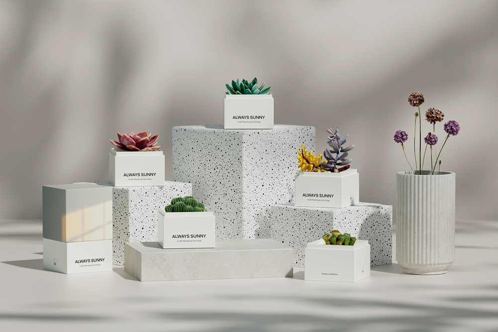 永远阳光灿烂 作者：Firuz Kurbonzodski