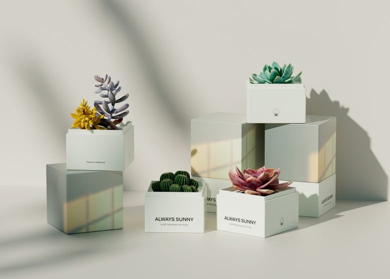 永远阳光灿烂 作者：Firuz Kurbonzodski