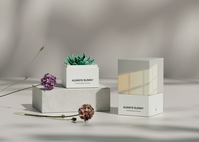 永远阳光灿烂 作者：Firuz Kurbonzodski