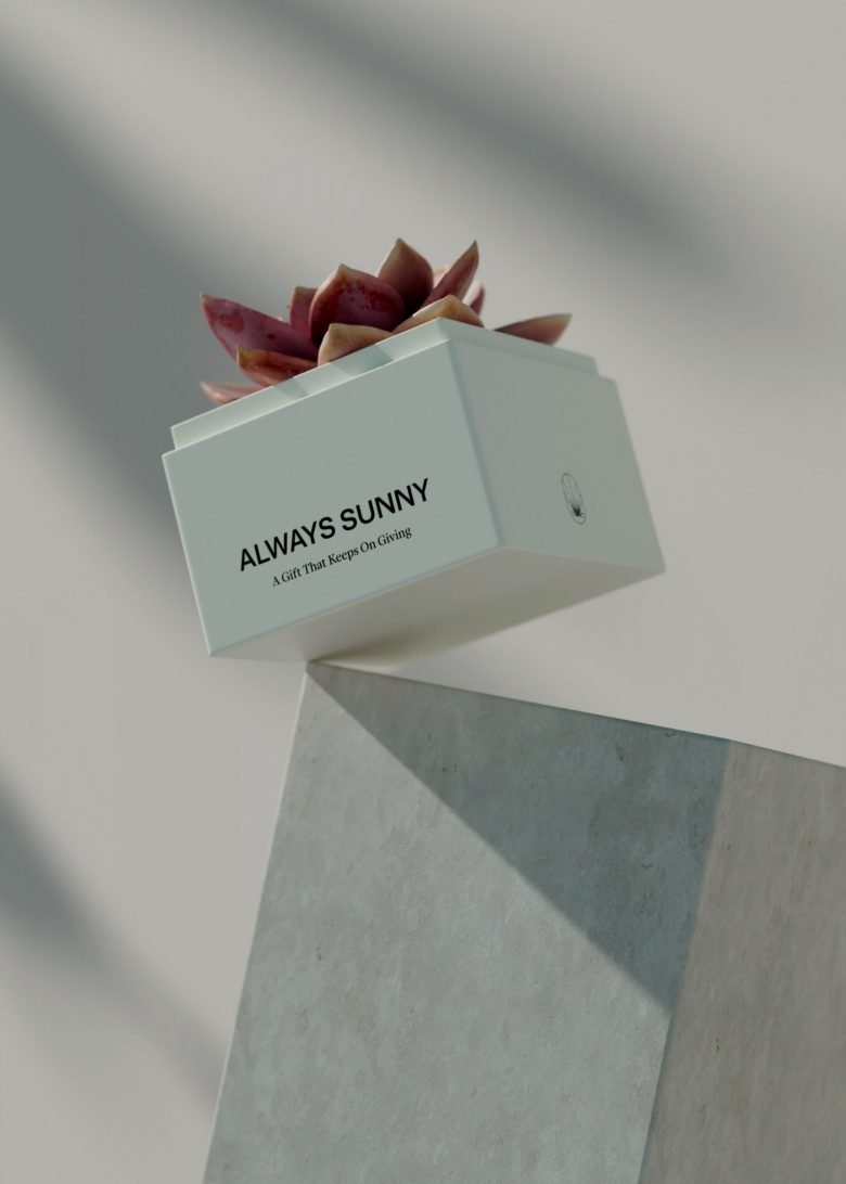 永远阳光灿烂 作者：Firuz Kurbonzodski