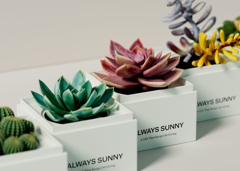 永远阳光灿烂 作者：Firuz Kurbonzodski